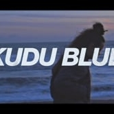 Preview image for the video "Kudu Blue music video".