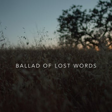 Preview image for the video "Music video for  by emotiondesigner".