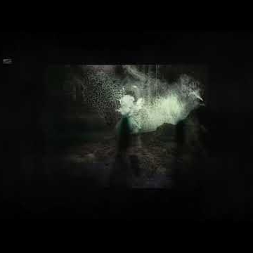 Preview image for the video "Rose Droll - Fantasy I Leave ".