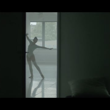 Preview image for the video "David Garrett - Evolution".