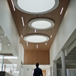 Preview image for the video "P+HS: Enhancing Lives".