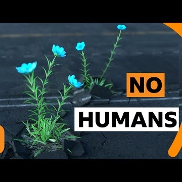 Preview image for the video "BBC Ideas: A World Without Humans".