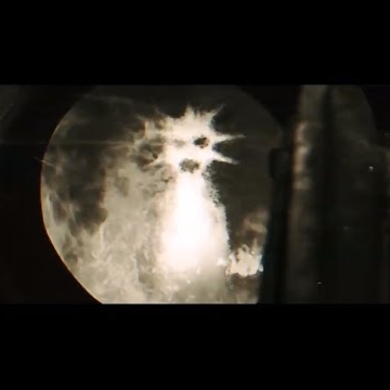 Preview image for the video "Belly of the Beast".