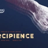 Preview image for the video "Percipience | Short Films".