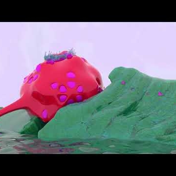 Preview image for the video "Narcsus Prye".