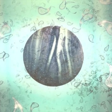 Preview image for the video "video portfolio".