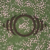 Preview image for the video "3D Animated Promos - The Sundrop Garden x AWAL".