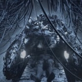 Preview image for the video "Starseed".