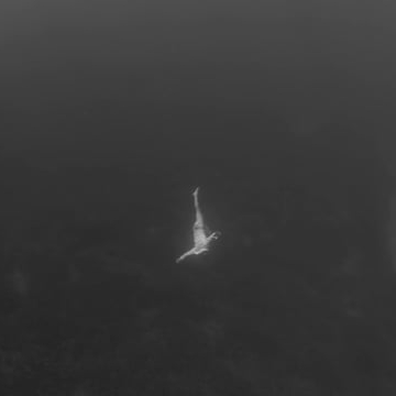 Preview image for the video "A Piece of You is in Everything".