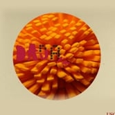 Preview image for the video "Feast".