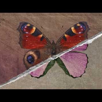 Preview image for the video "JVKE x Ruel".