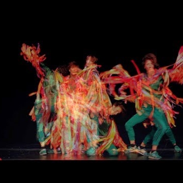 Preview image for the video "James Holden - The Animal Spirits".