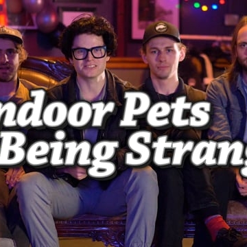 Preview image for the video "Music video for Indoor Pets by yousef".