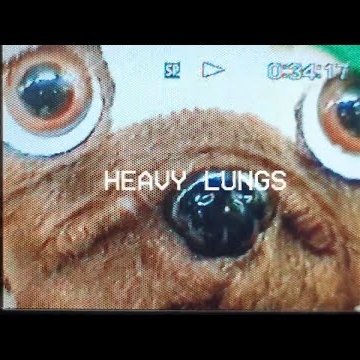Preview image for the video "Video Production for HEAVY LUNGS by Jordan Martin".