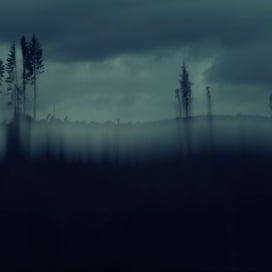 Preview image for the video "Music video for Ed Harcourt by Wolfers".