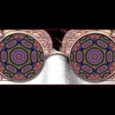 Preview image for the video "VH1 Rock Honors: The Who".