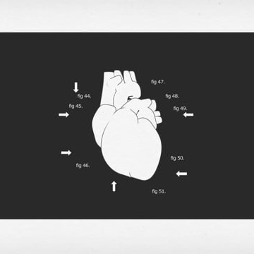 Preview image for the video "HUMAN".