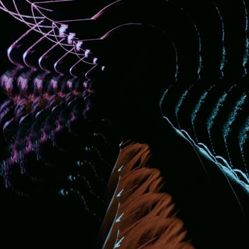 Preview image for the video "In My Blood".