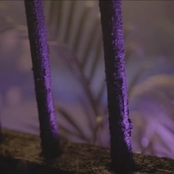 Preview image for the video "Interactive Sound, Smoke & Light installation for Red Bull Music by bdrspace".