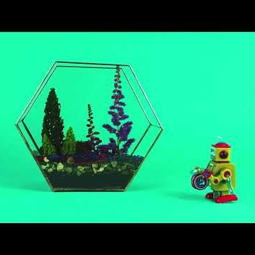 Preview image for the video "Promo Video".