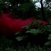 Preview image for the video "Documentary".