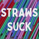 Preview image for the video "Icebloc Social Media Short".