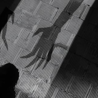 Preview image for the video "MFnMelo - No Mas (Official Music Video)".