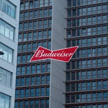 Preview image for the video "Budweiser - Louis III (Directors Cut)".