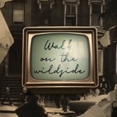 Preview image for the video "Walk On The Wildside".