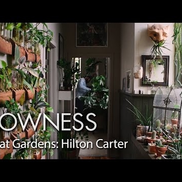 Preview image for the video "Great Gardens Hilton Carter".