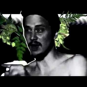 Preview image for the video "Dim Out - Plantans Vätte".