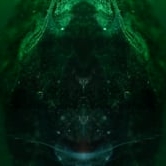 Preview image for the video "Lay With Love ".