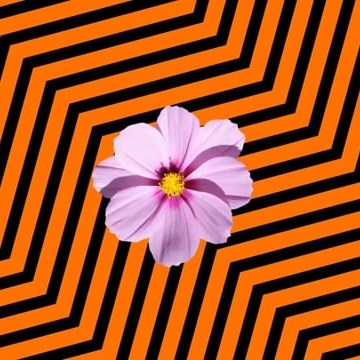 Preview image for the video "Freak You Right".