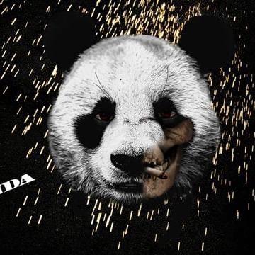 Preview image for the video "Create a six-second video inspired by Desiigner’s track Panda".