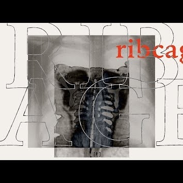 Preview image for the video "Plested - Ribcage (Lyric Video)".