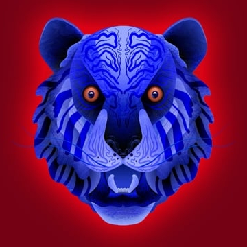 Preview image for the video "Year of the Water Tiger".