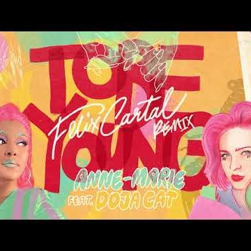 Preview image for the video "Anne-Marie - Animated Visualisers".