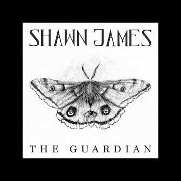 Preview image for the video "Shawn James single artwork for "Through The Valley" & "The Guardian" on the soundtrack for The Last of Us Part II PlayStation game".