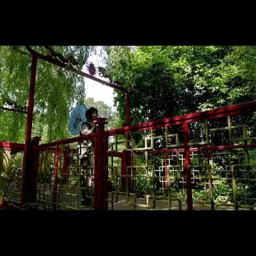 Preview image for the video "Parameter Paths".