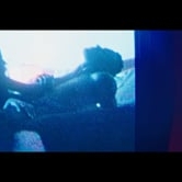 Preview image for the video "REEL".