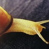 Preview image for the video "Video".