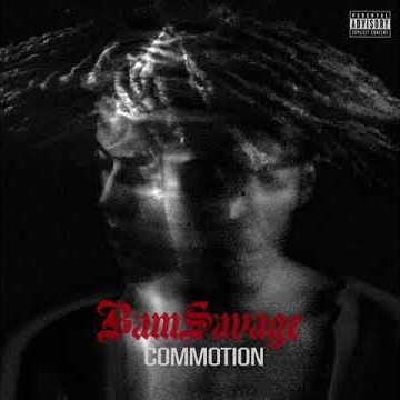 Preview image for the video "Bam Savage Commotion Visualizer".