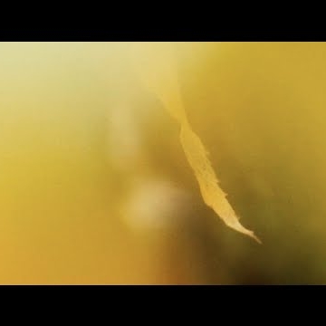 Preview image for the video "Music video for Ivana Mer by LINEA1".