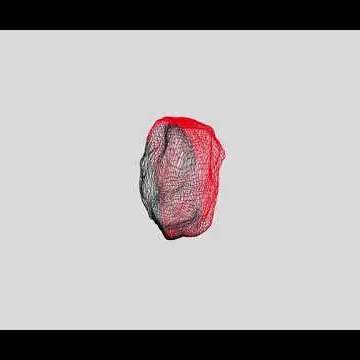 Preview image for the video "Fuchsia Sommerfield - Heartbeat [AUDIO VISUALISER]".