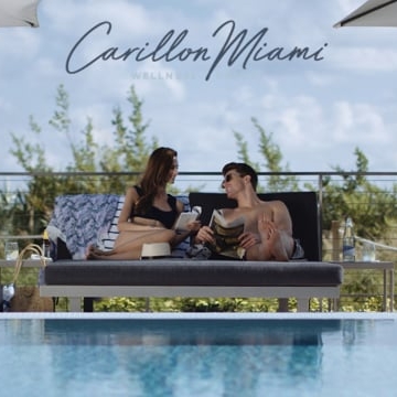 Preview image for the video "Carillon Miami ".