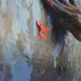 Preview image for the video "Film for  by Rainland Studios".