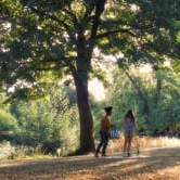 Preview image for the video "The Academic 'Aftertaste".