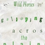 Preview image for the video "Wild Horses Galloping Across the Plains".
