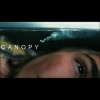 Canopy-still.jpg