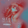 Melanie Pfirrman x Pitbull SUDA Artwork